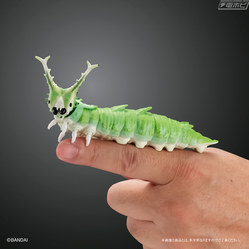 角がウサギの耳のようで可愛い「オオムラサキの幼虫」を収録