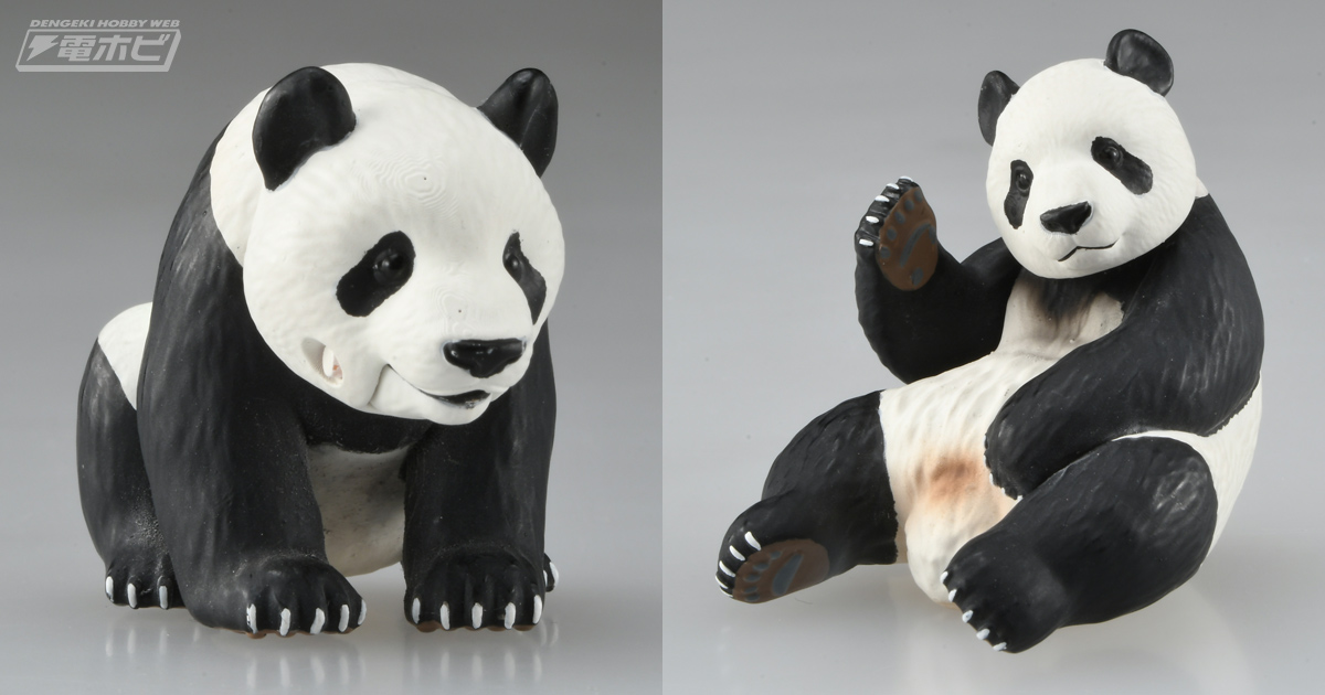 上野動物園のジャイアントパンダ「シャオシャオ」「レイレイ」のアニア