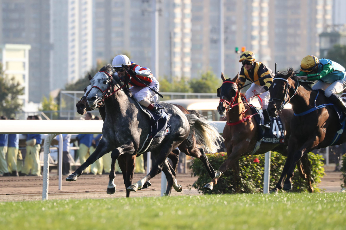 香港カップ】ウインブライトが優勝 香港の春秋G1連覇を達成