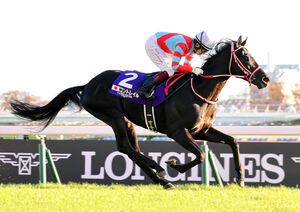 JRA】20年無敗3冠馬コントレイル、顕彰馬選定ならず わずか1票