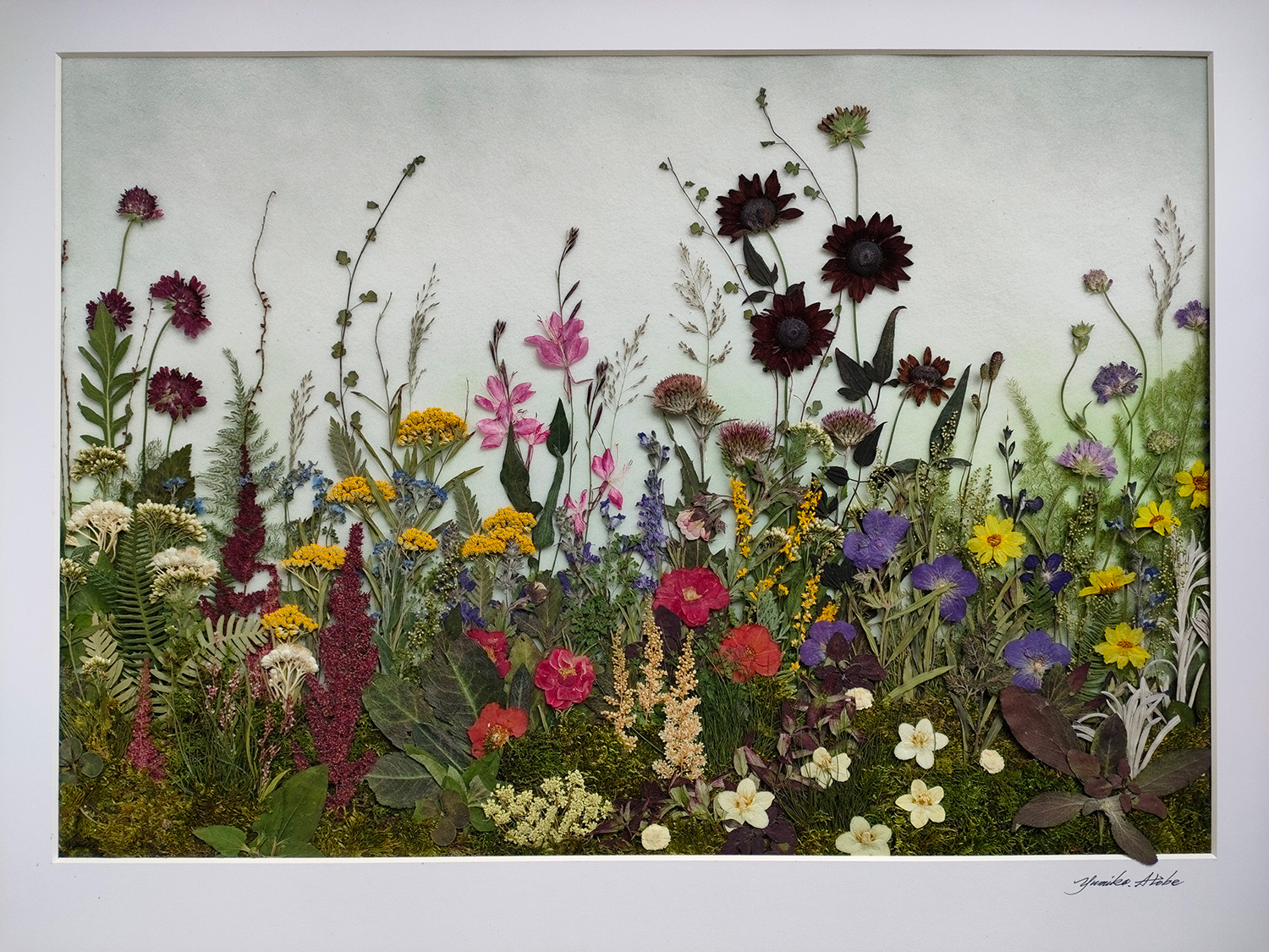 ワークショップ「押し花の植物図鑑」 | 小布施 北斎館