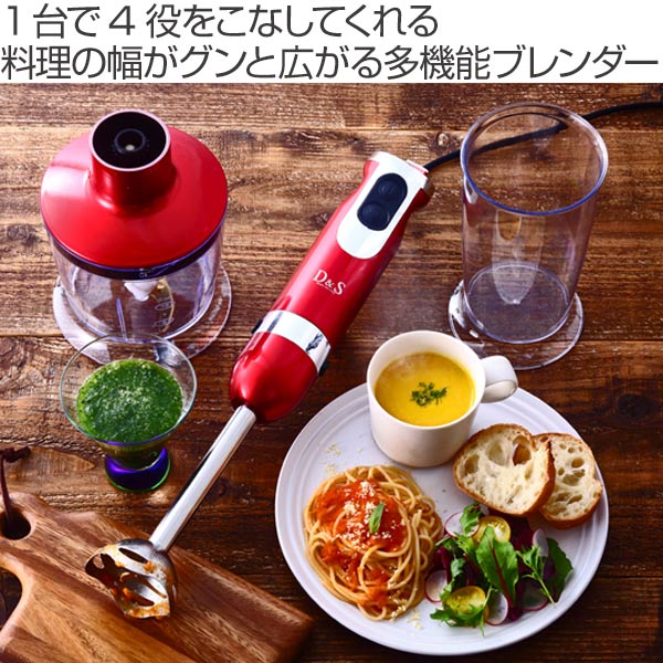 ブレンダ― D&S ハンドブレンダー – ハウジー