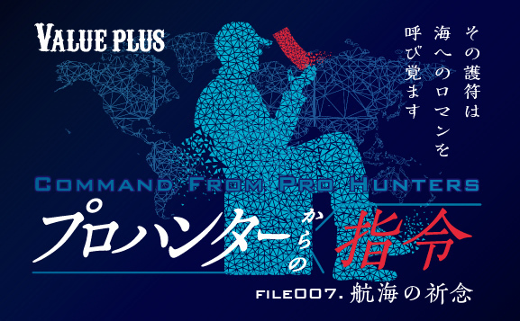 バリュープラス_プロハンター