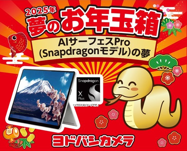 ヨドバシ『サーフェスの夢』福袋[2026]の中身をネタバレします！