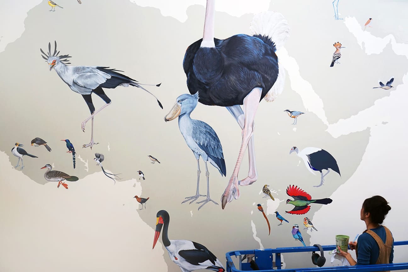 A Colossal Mural Chronicles 375 Million Years of Bird Evolution