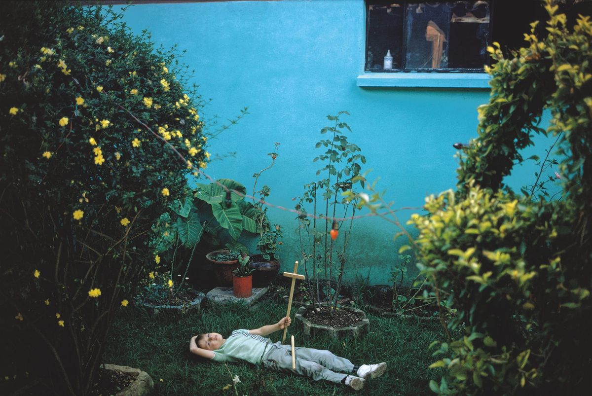 Joel Meyerowitz's Wild Flowers Is a Reminder That the World Is