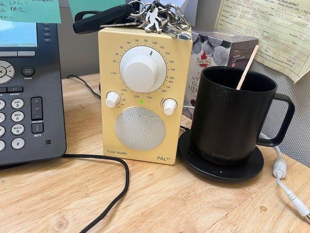 Tivoli Audio PAL BT Bluetooth AM/FM Portable Radio & Speaker