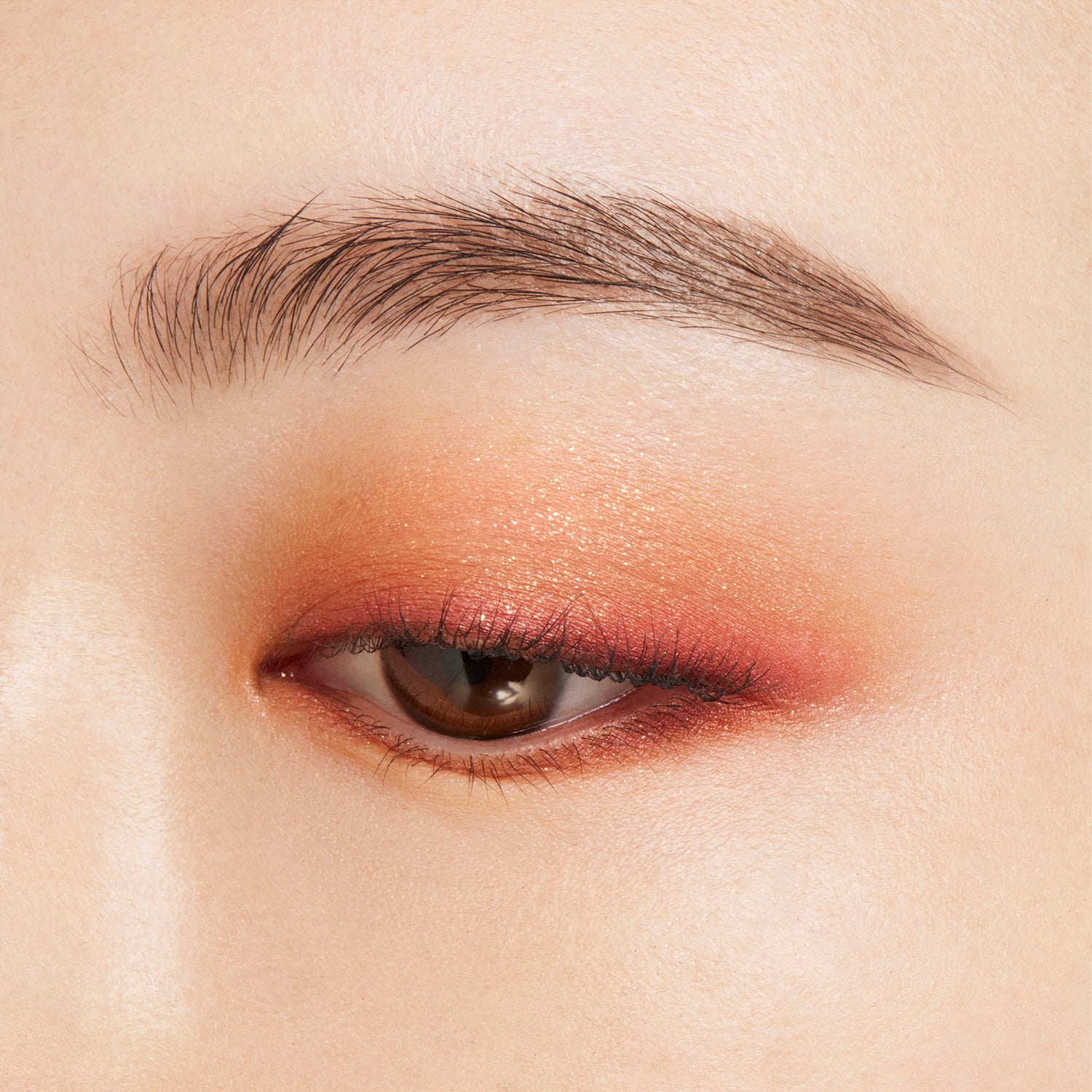Suqqu Signature Color Eyes – Ichiban Mart