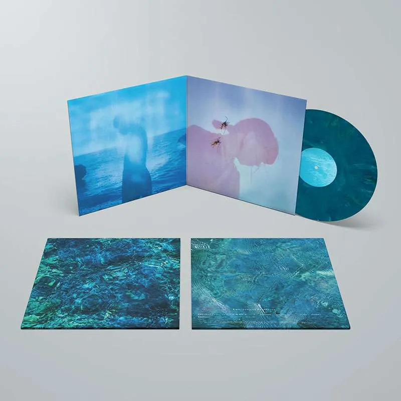 Store – 青葉市子