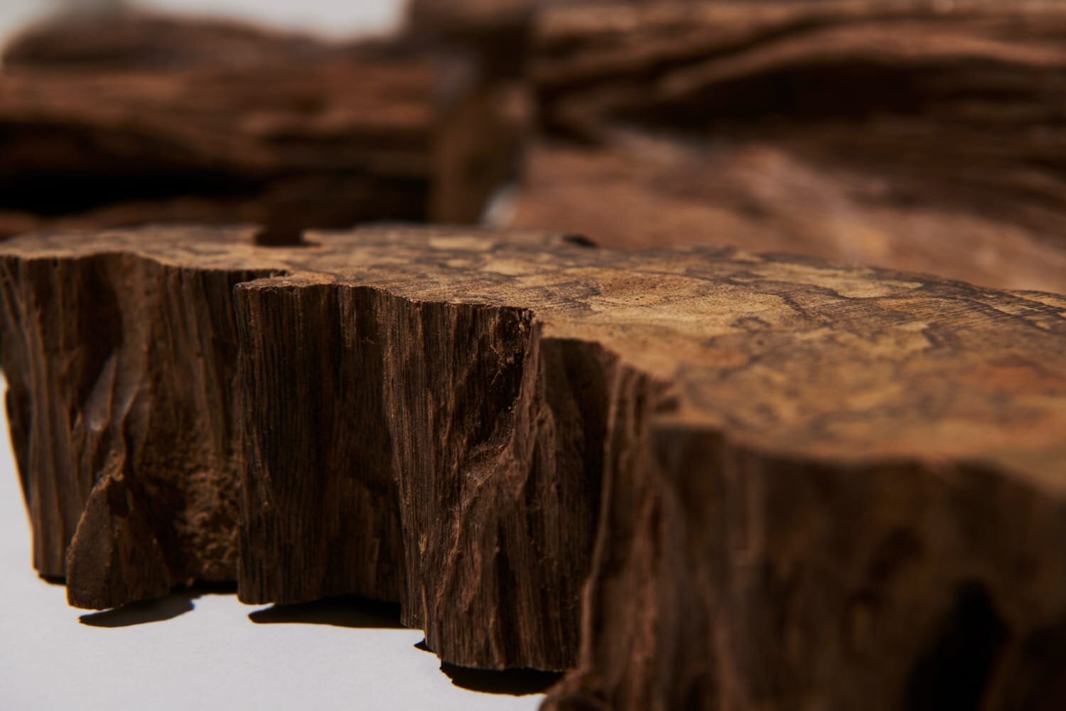 沈水香木” 極めて稀少な自然の香り - READINGS - ICHIKŌ ICHIE 一香一会