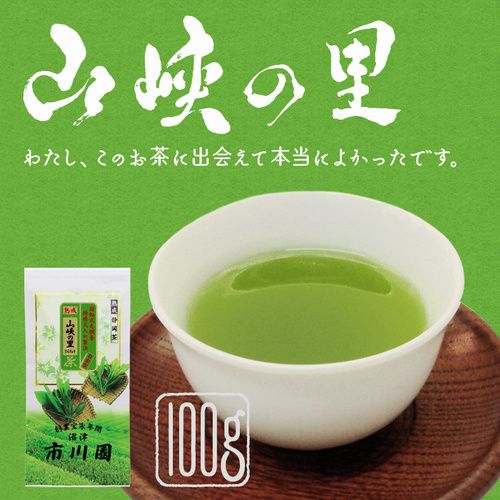 静岡茶 「山峡の里」200g 袋入り 上級 やや深蒸し煎茶 お茶 - 静岡茶の