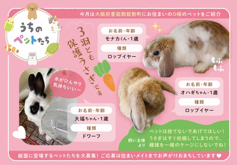 うちのペットたち|一吉工業株式会社