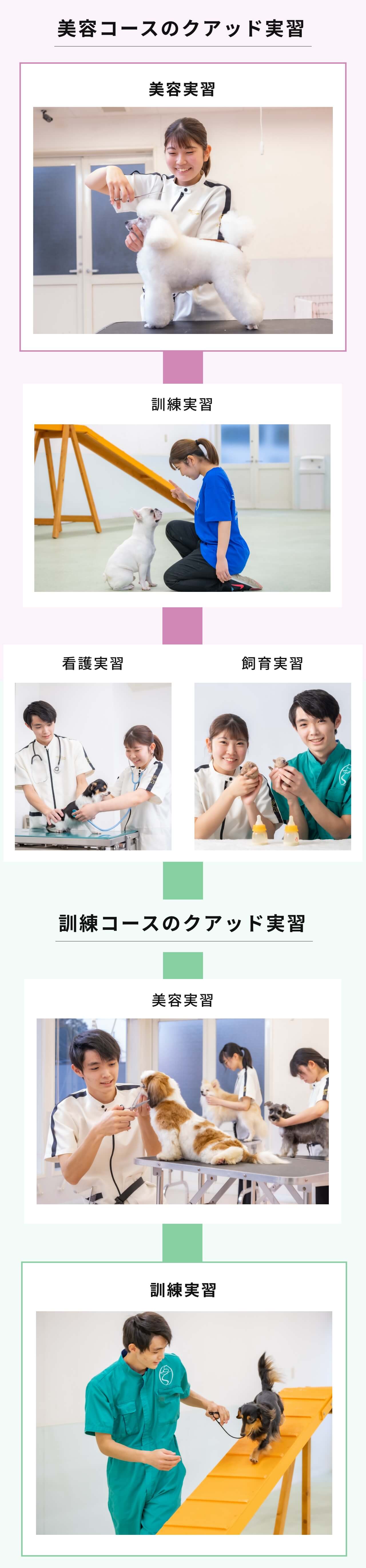 iASCだからできるクアッド実習 | いばらきどうぶつ専門学校｜茨城県