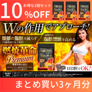 moemus 脂肪燃焼サプリ 30粒×3袋 moemus サプリメント 30粒 日本製 3袋