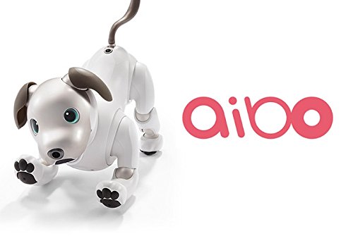SONY AIBO ERS-1000 アイボーン付属(中古品)の通販はau PAY マーケット