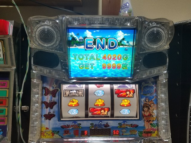 キュインぱちすろ南国育ち 1st vacation 掲示板 投稿動画