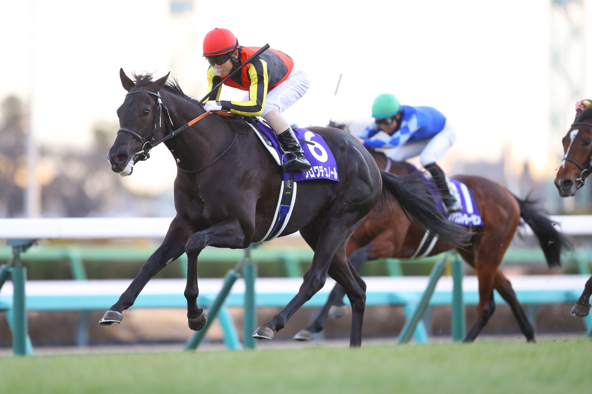 クロワデュノール、ホープフルSでスターの実力を発揮