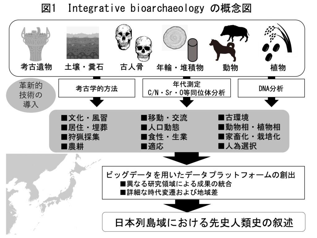 領域概要 - 日本列島域における先史人類史の統合生物考古学的研究 ― 令