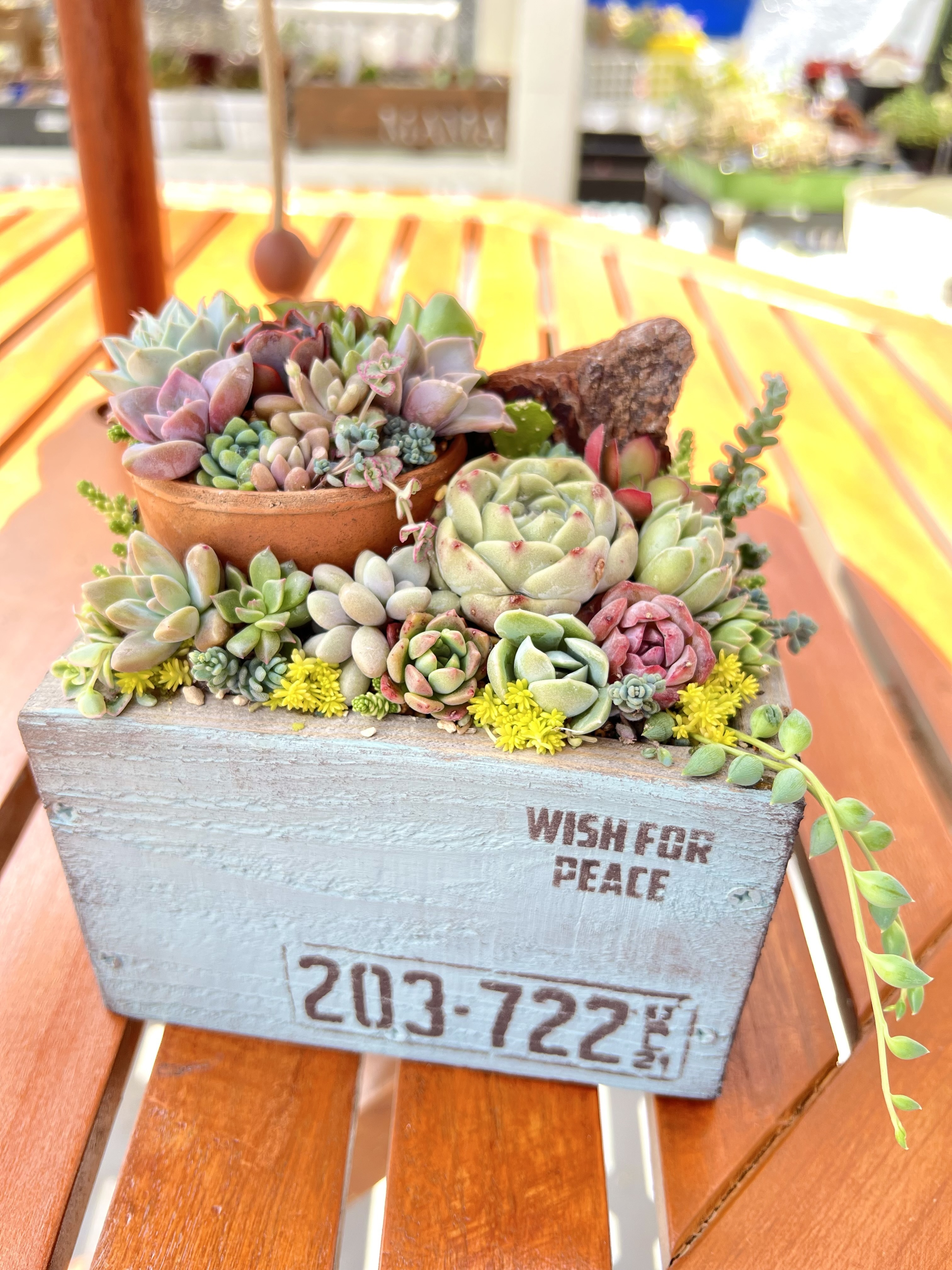 木箱の多肉寄せ植え💕 | CAINZ DIY Square