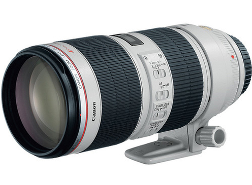 Canon EF 70-300mm f/4.5-5.6 DO IS USM Review | PCMag