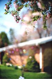 54a6b5d610abb774a0863d5ca8a602