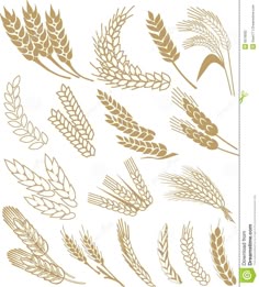 麦」のアイデア 10 件 | 麦, 刺繍 図案, ビール イラスト