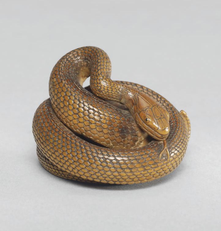 L」おしゃれまとめの人気アイデア｜Pinterest｜NEMO | 美しいヘビ