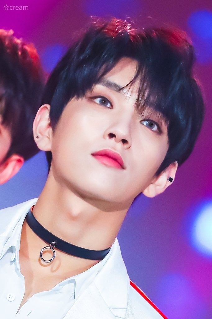 SEVENTEEN セブチ セブンティーン ジョシュア ジス SEVENTEEN セブチ