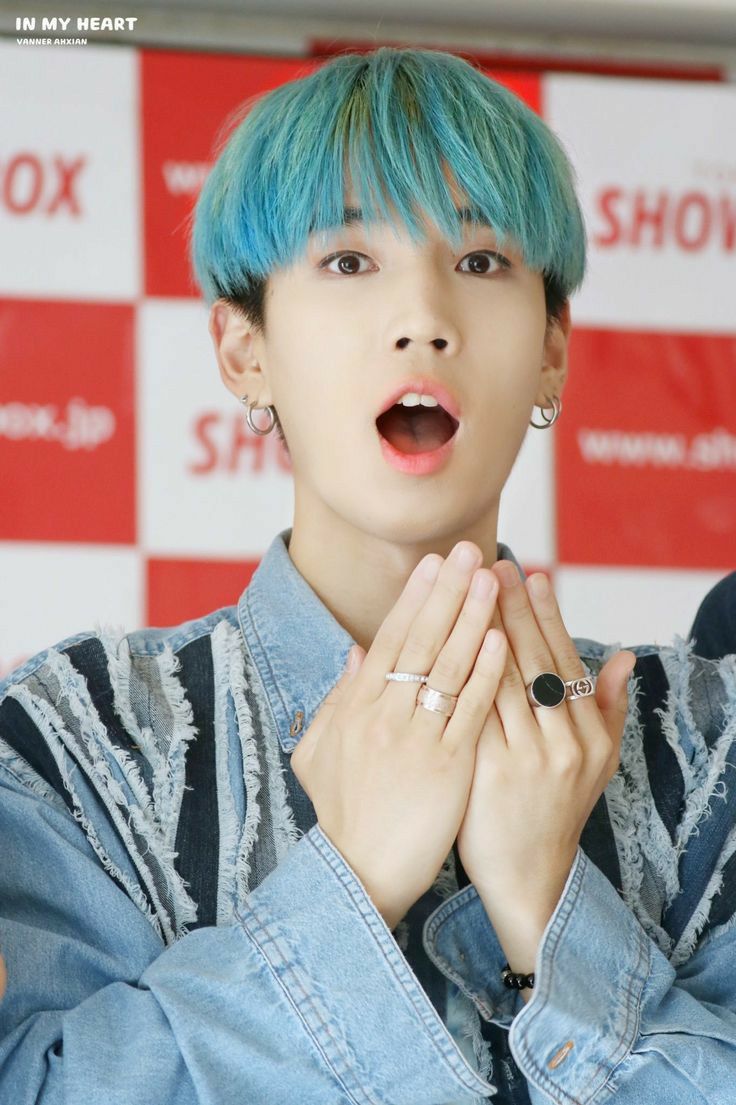 Ahxian ( Park Sung Kook ) VANNER