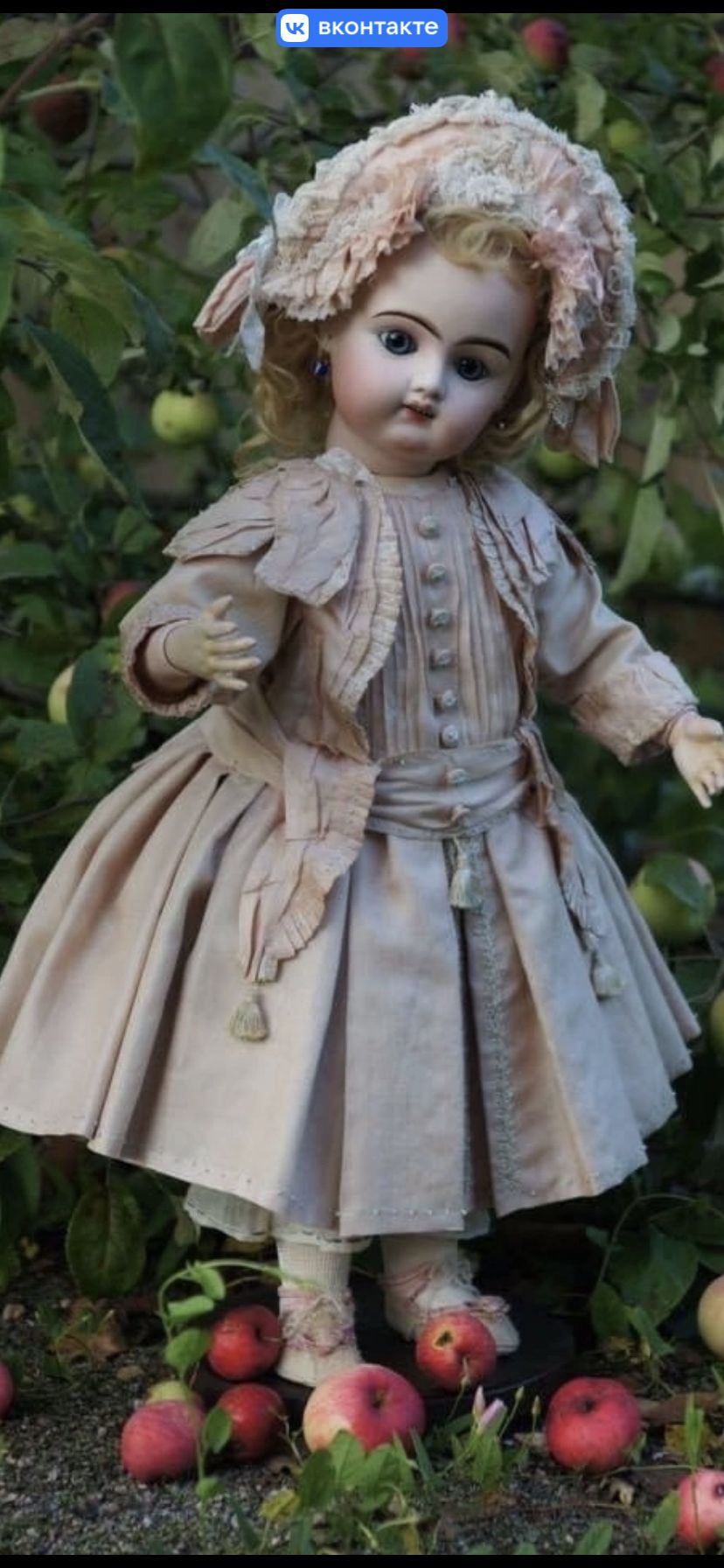 630 件の「ビスクドール ドレス」のアイデアを今すぐ保存 | ビスク