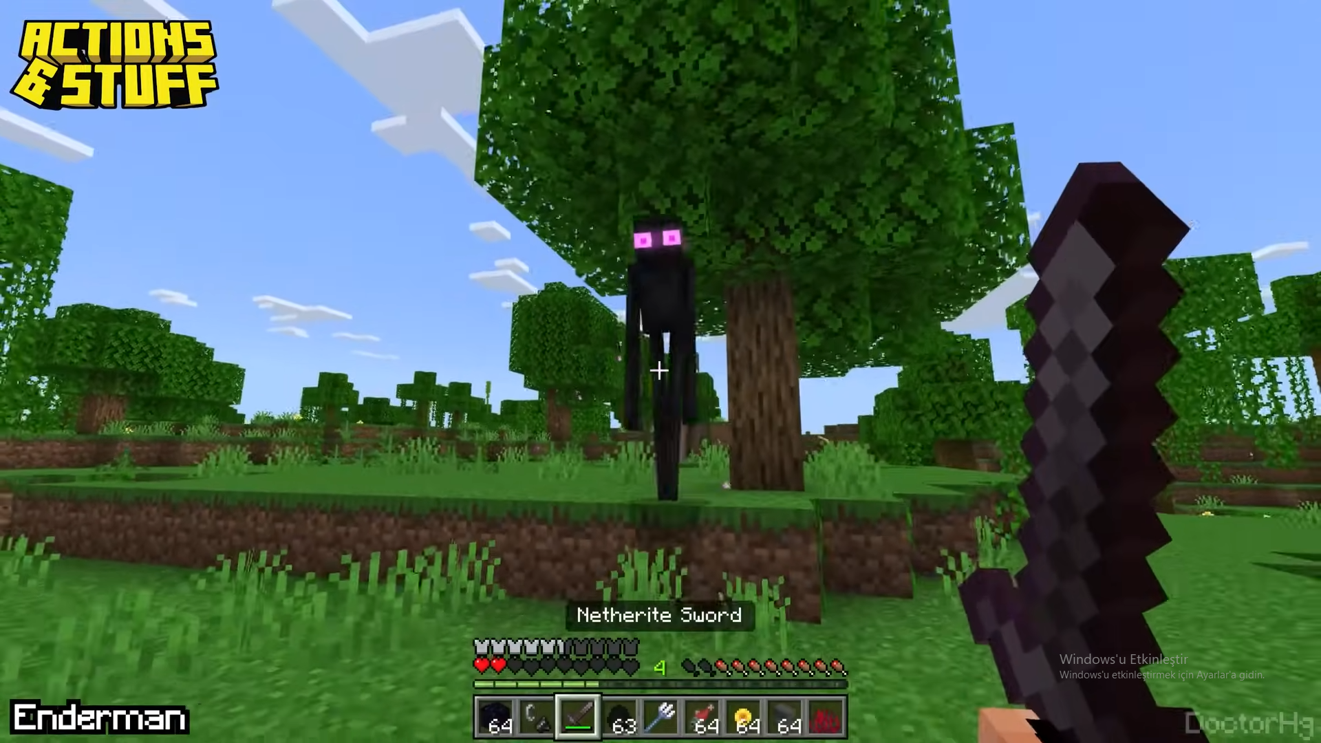 Action & Stuffでエンダーマンについて気づいたこと : r/Minecraft