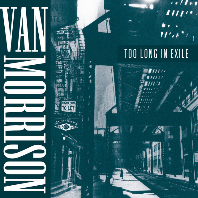 Too Long in Exile - Album by Van Morrison | Spotify
