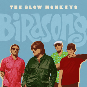 Digging Your Scene - song and lyrics by The Blow Monkeys | Spotify