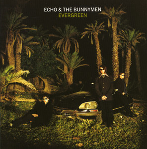 Ocean Rain – Álbum de Echo & the Bunnymen | Spotify
