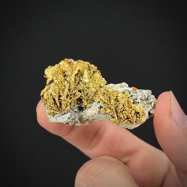 historic Gold on matrix | Dixie Mine, Lamartine Mining Dist