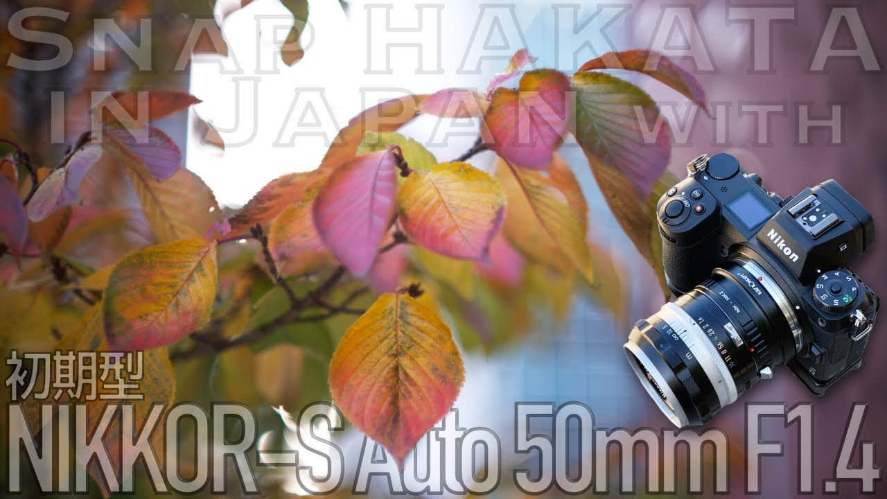 なんにもせんとシネマチック・初期型NIKKOR-S Auto 50mm F1.4の作例25