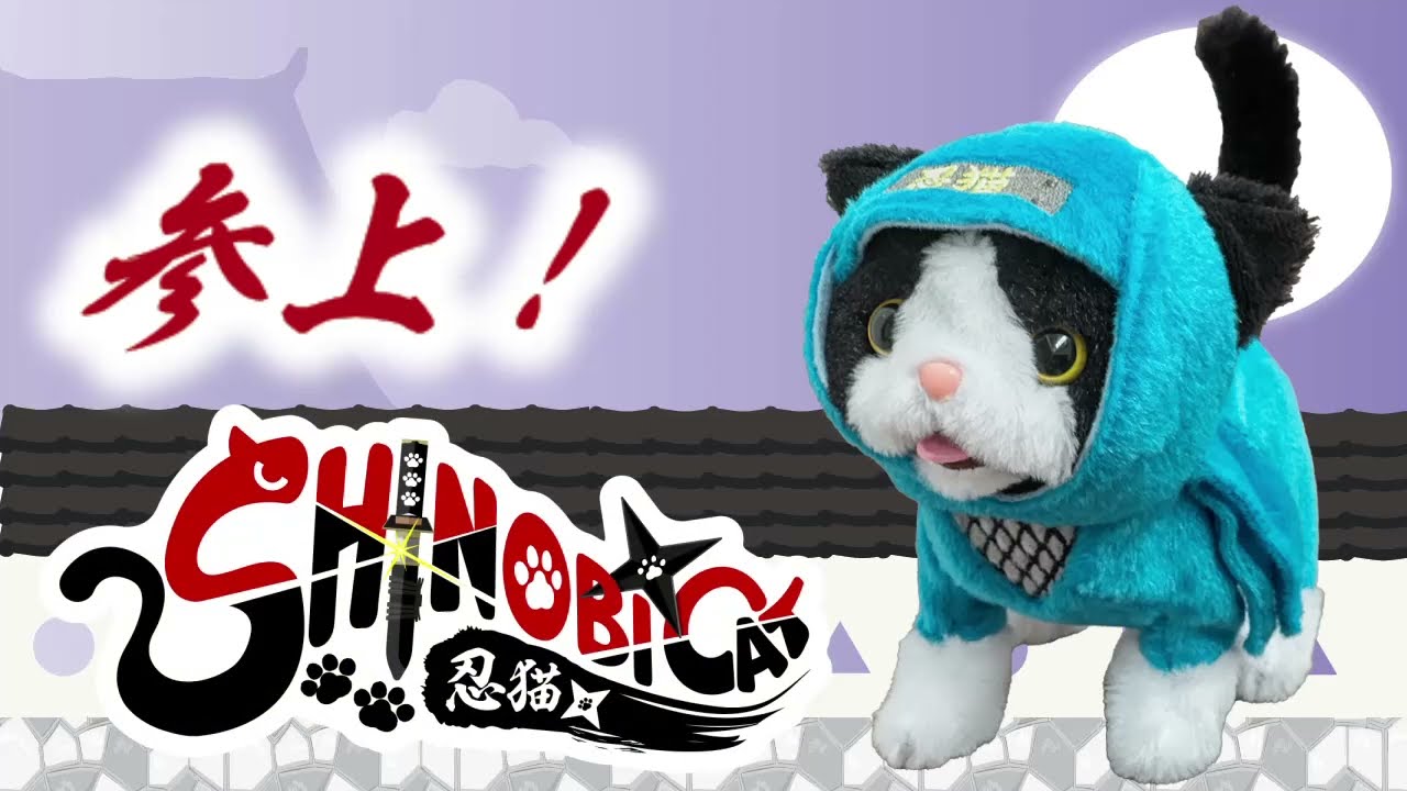 SHINOBICAT - YouTube