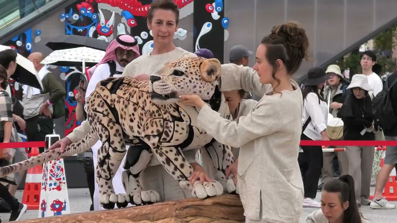 大阪・関西万博】サウジアラビアの人形劇：アラビアヒョウ - YouTube