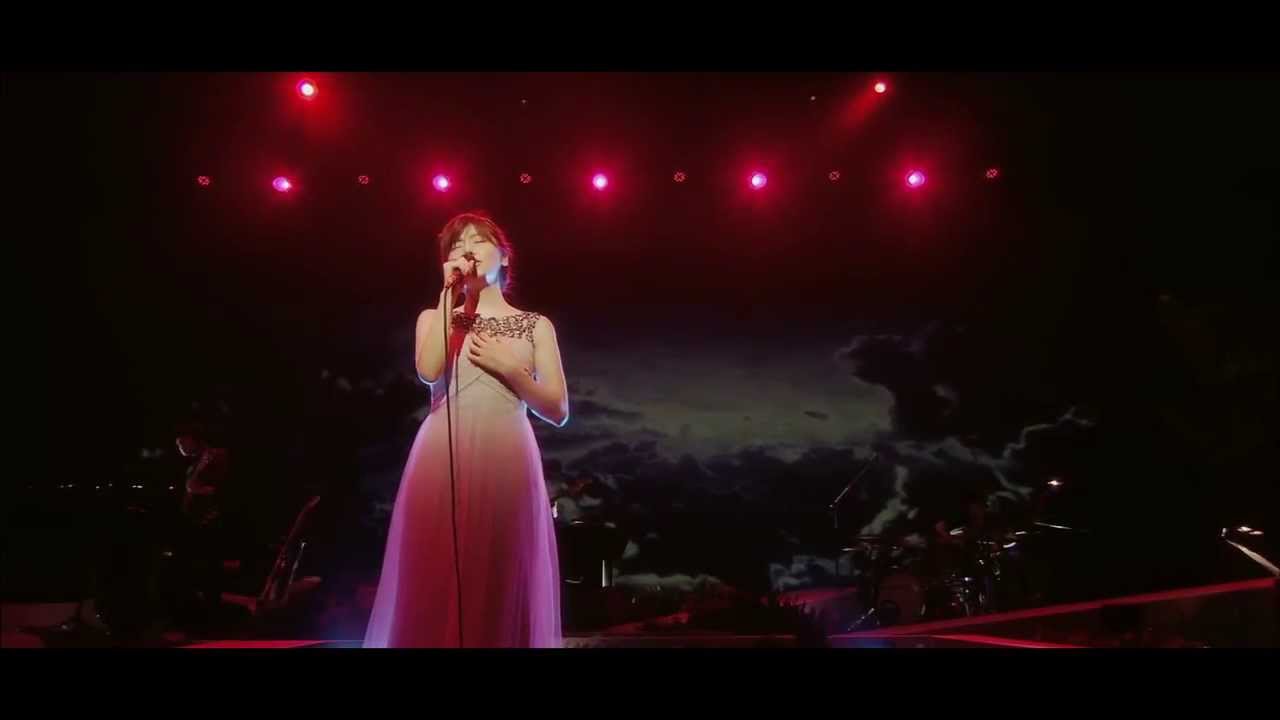 柴田淳 - JUN SHIBATA CONCERT TOUR 2013 MOON NIGHT PARTY vol.4（Blu