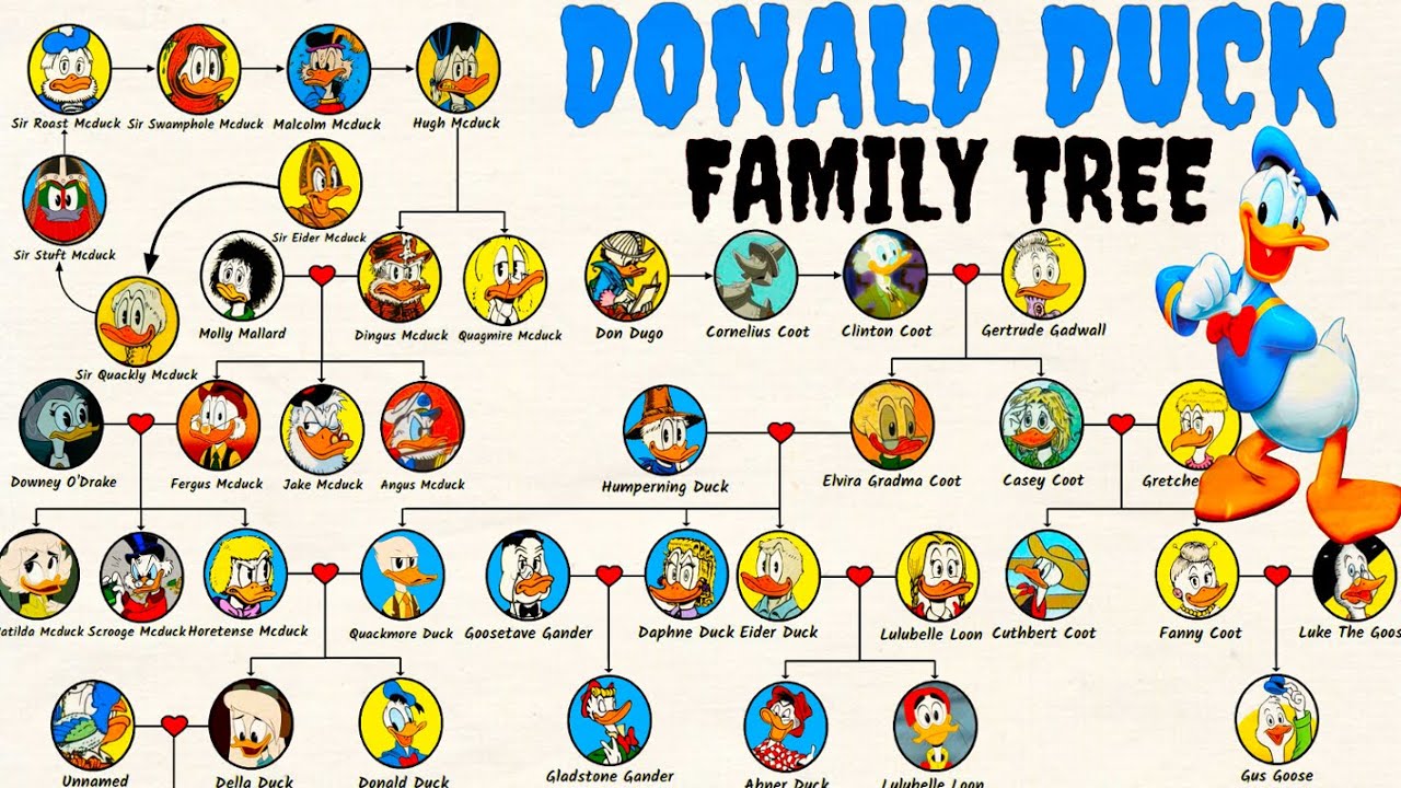 The Donald Duck's Family Tree [Duck Family] - YouTube