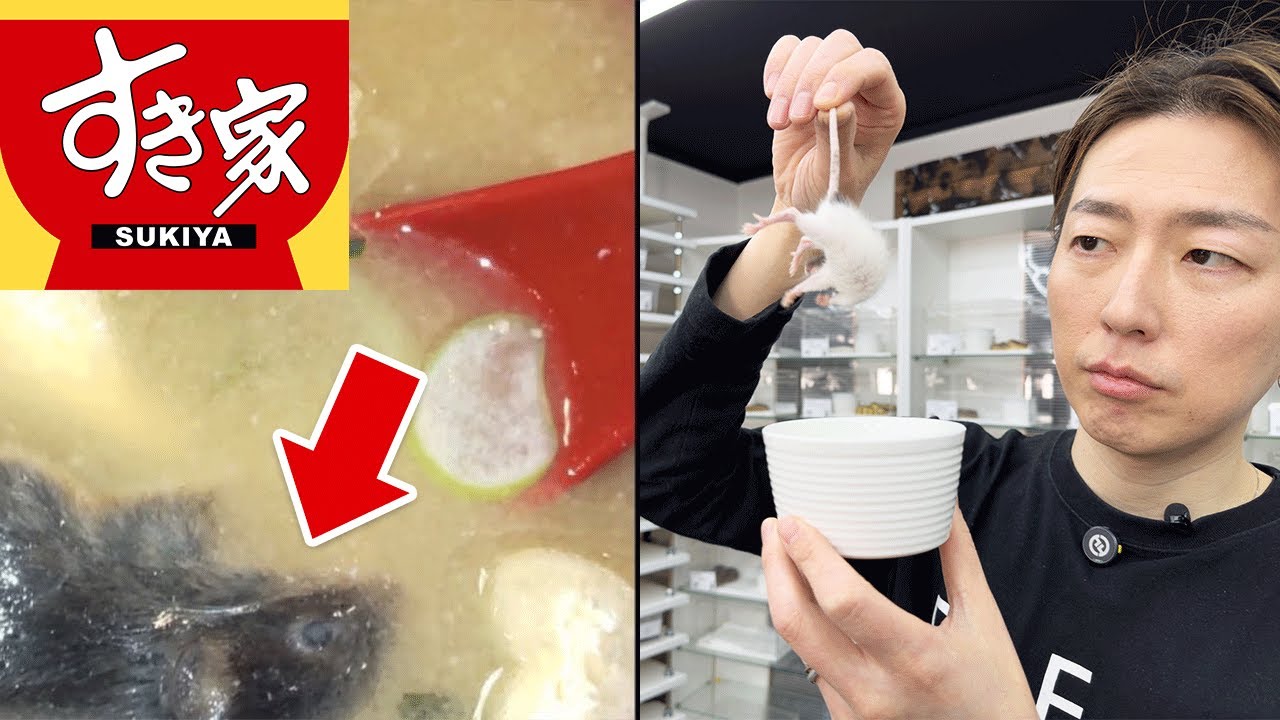 ネズミのプロが徹底検証「すき家混入事件の謎」 | ボールパイソン専門