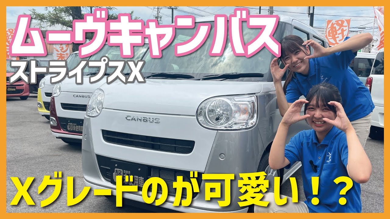 Move Canvas Stripes] Is it a little pricey? No, the X grade is