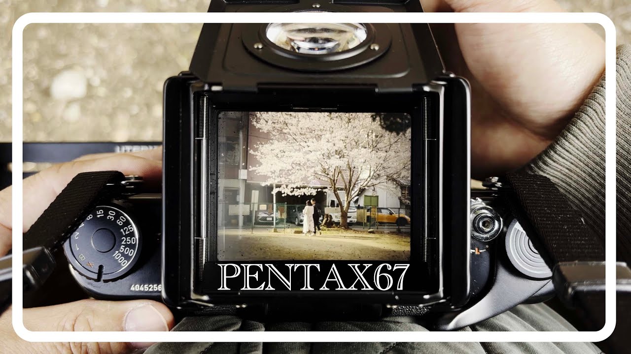 PENTAX67で桜を撮ってきた【ウエストレベルファインダー】 - YouTube