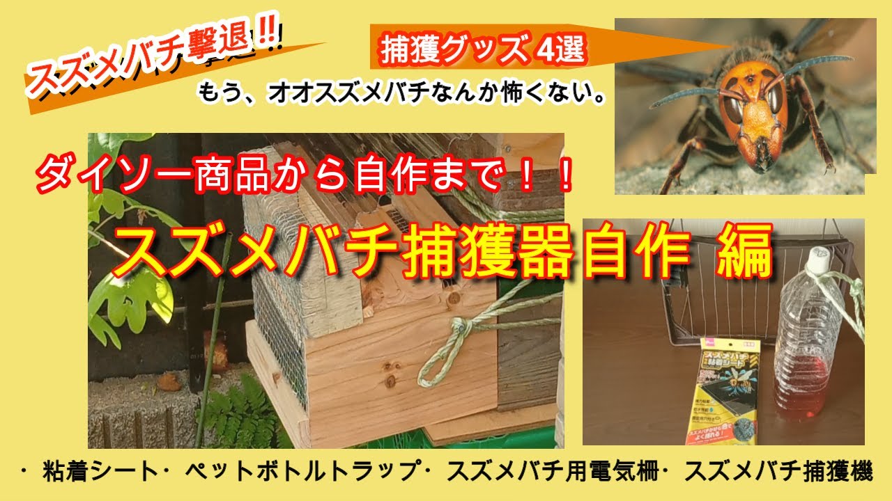 趣味の養蜂】ニホンミツバチを脅威から守る！スズメバチ撃退グッズ4選