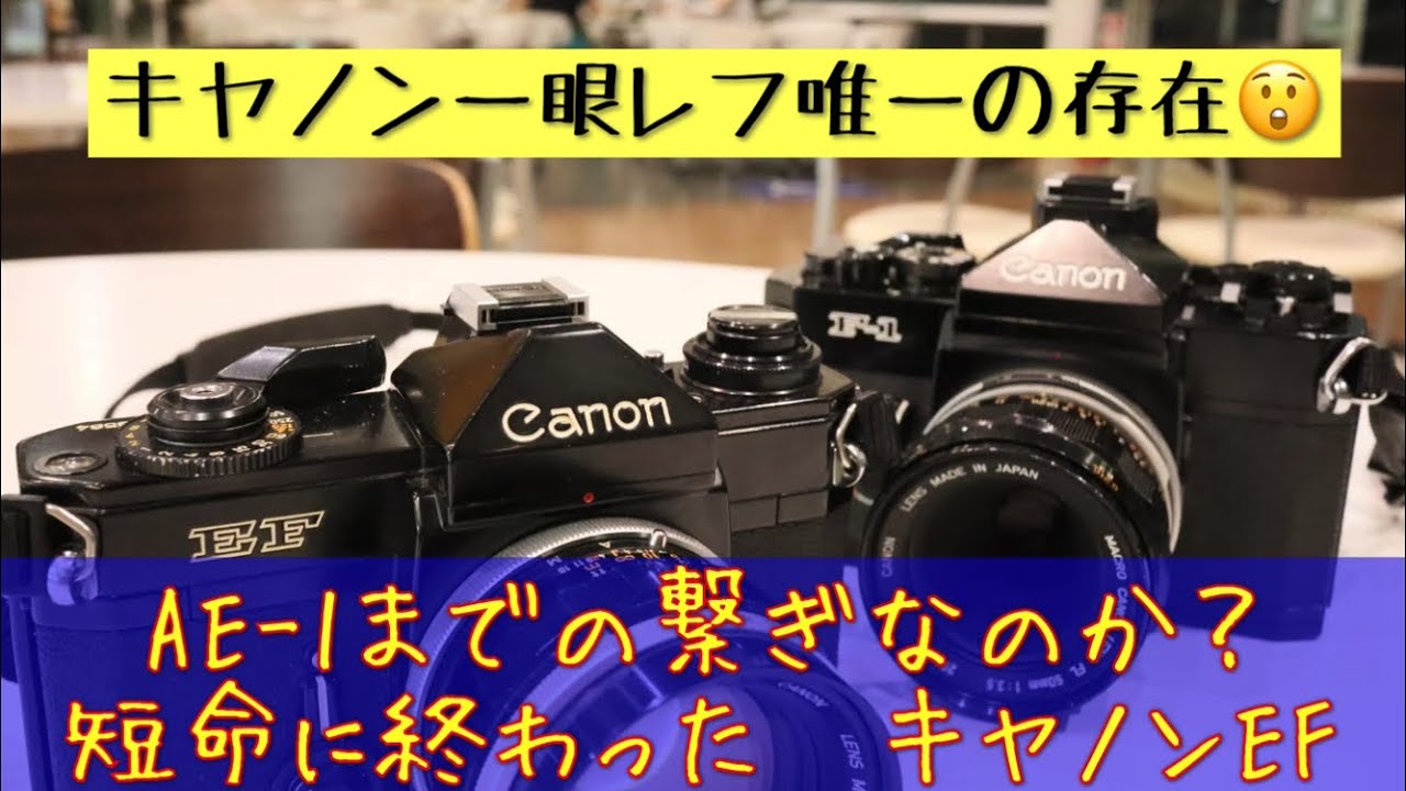 フイルムカメラ】キヤノン一眼レフ唯一の存在！キヤノンEFとはどんな