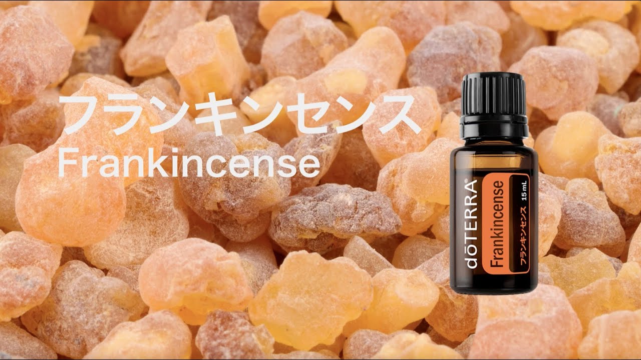 フランキンセンス - doTERRA TIMES