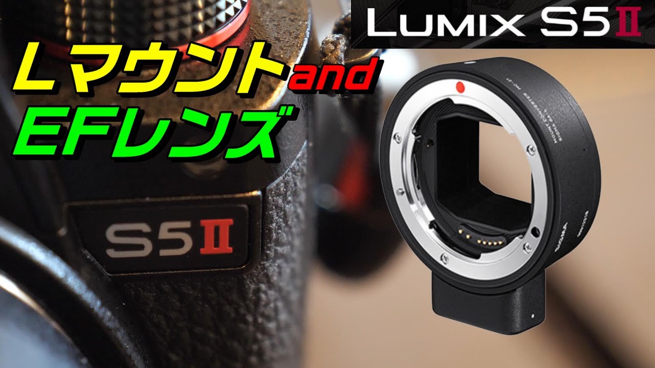 これは神！LマウントでEFレンズが LUMIX S5IIで撮影可能です。作例
