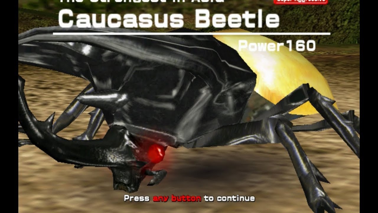 ムシキング コーカサスオオカブト 「韓国版」 ムシキング コーカサス