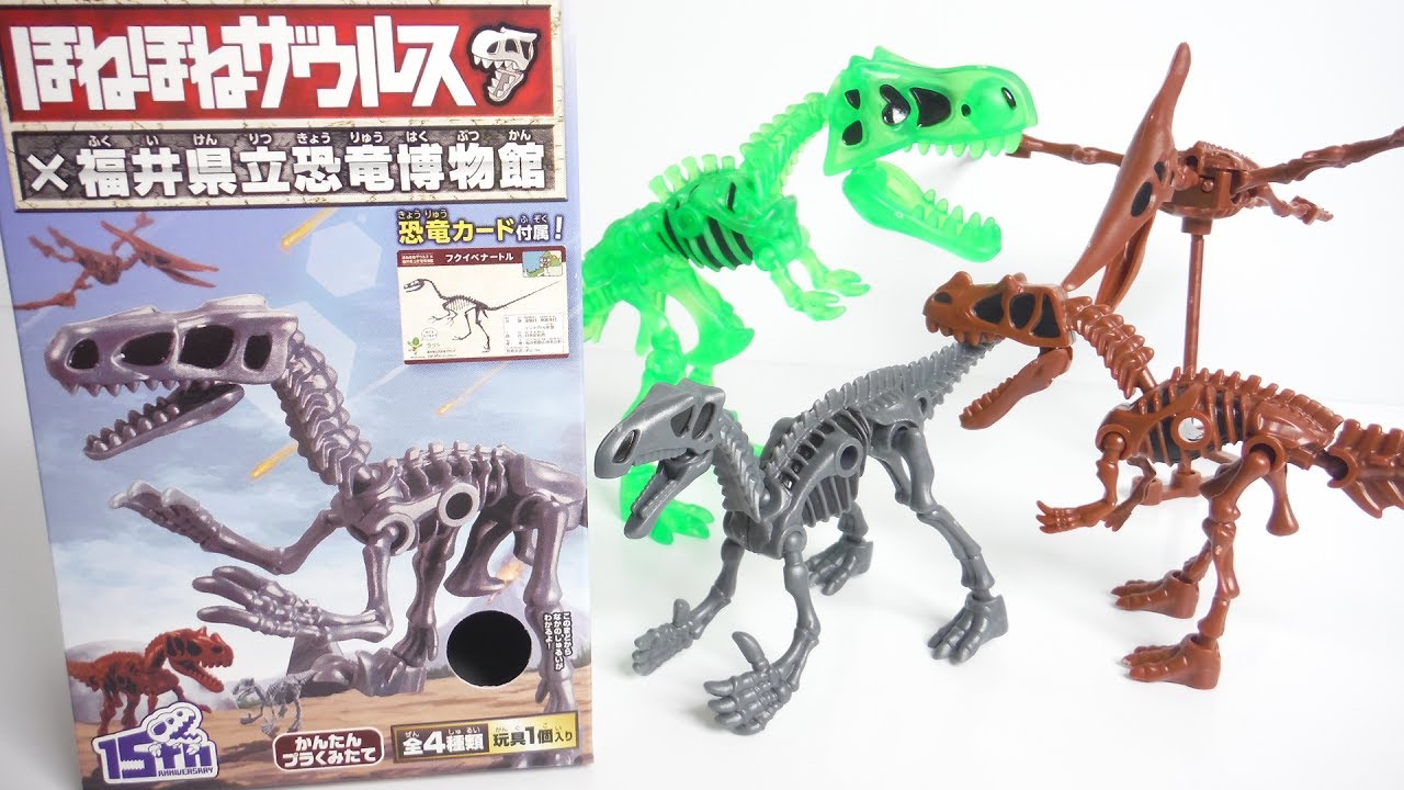 Honehone saurus Fukui Prefectural Dinosaur Museum 2 