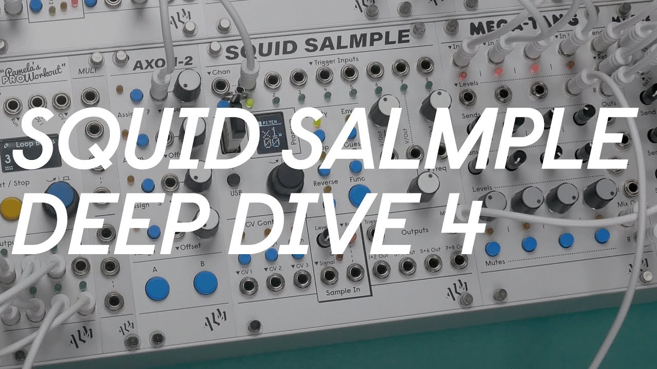 ALM/Busy Circuits(エーエルエムビジーサーキット) Squid Salmple